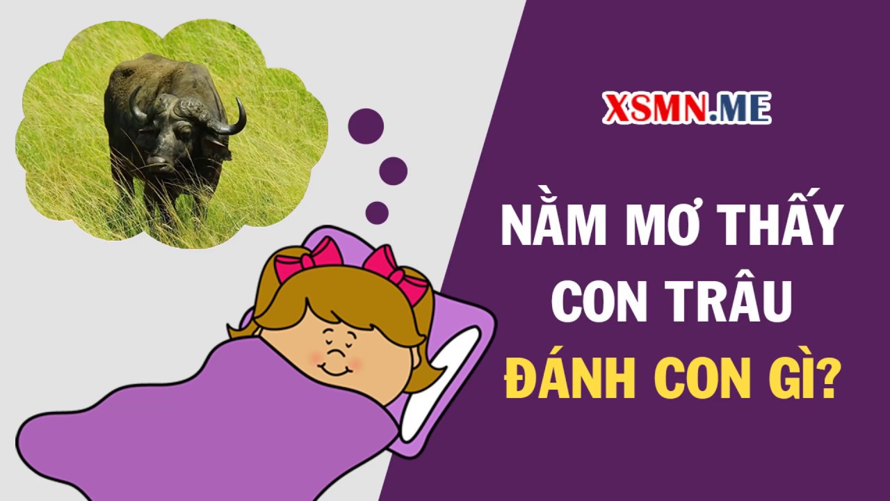 Trâu đứng trên đồng cỏ trong giấc mơ