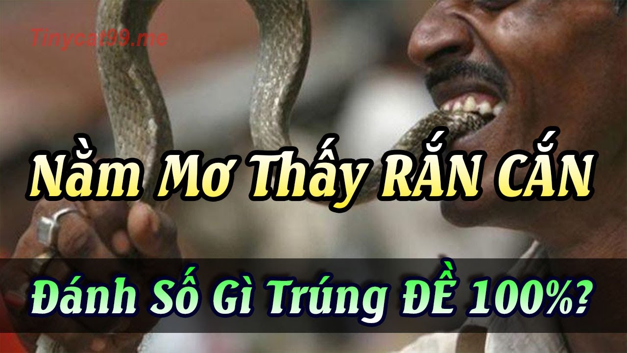 Người ngủ nằm mơ thấy rắn cắn trong đêm