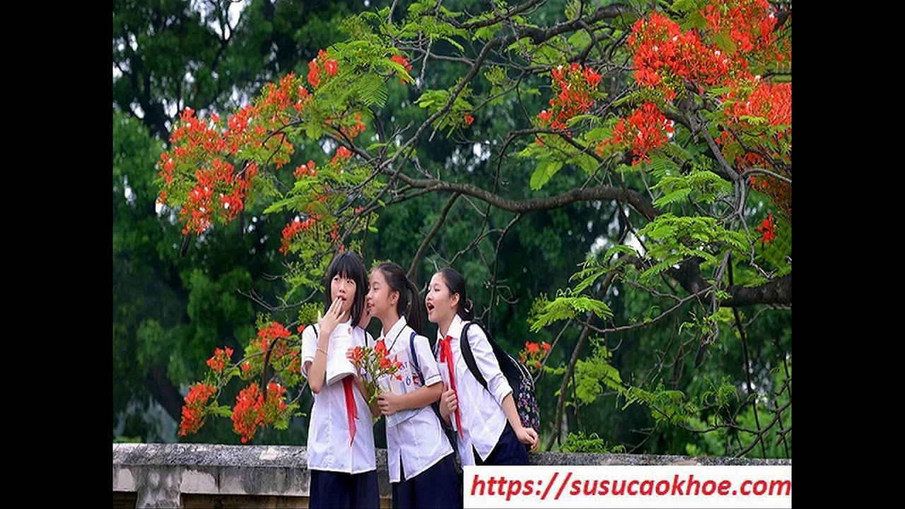 Học sinh mơ thấy đi học trên lớp
