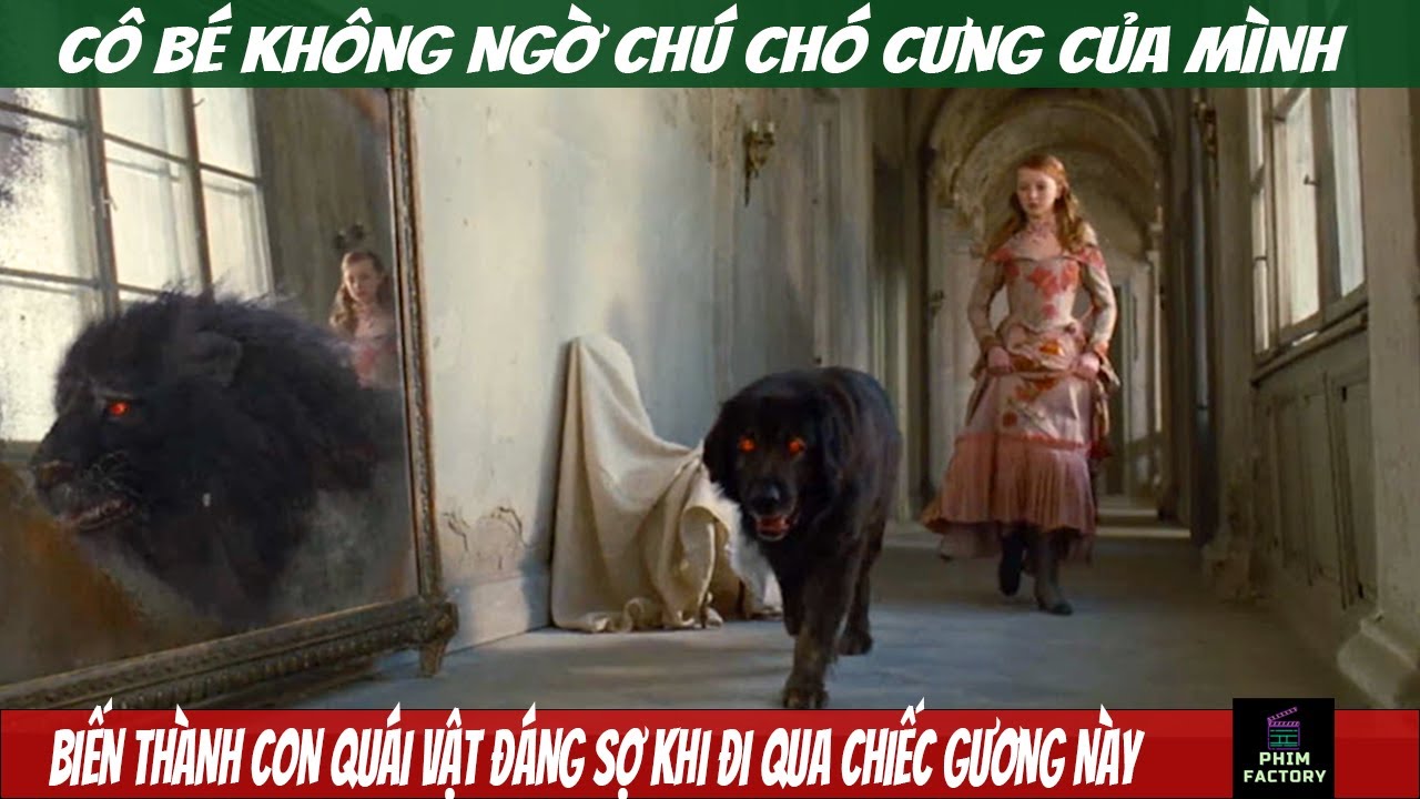 Chó đen xuất hiện trong giấc mơ ban đêm