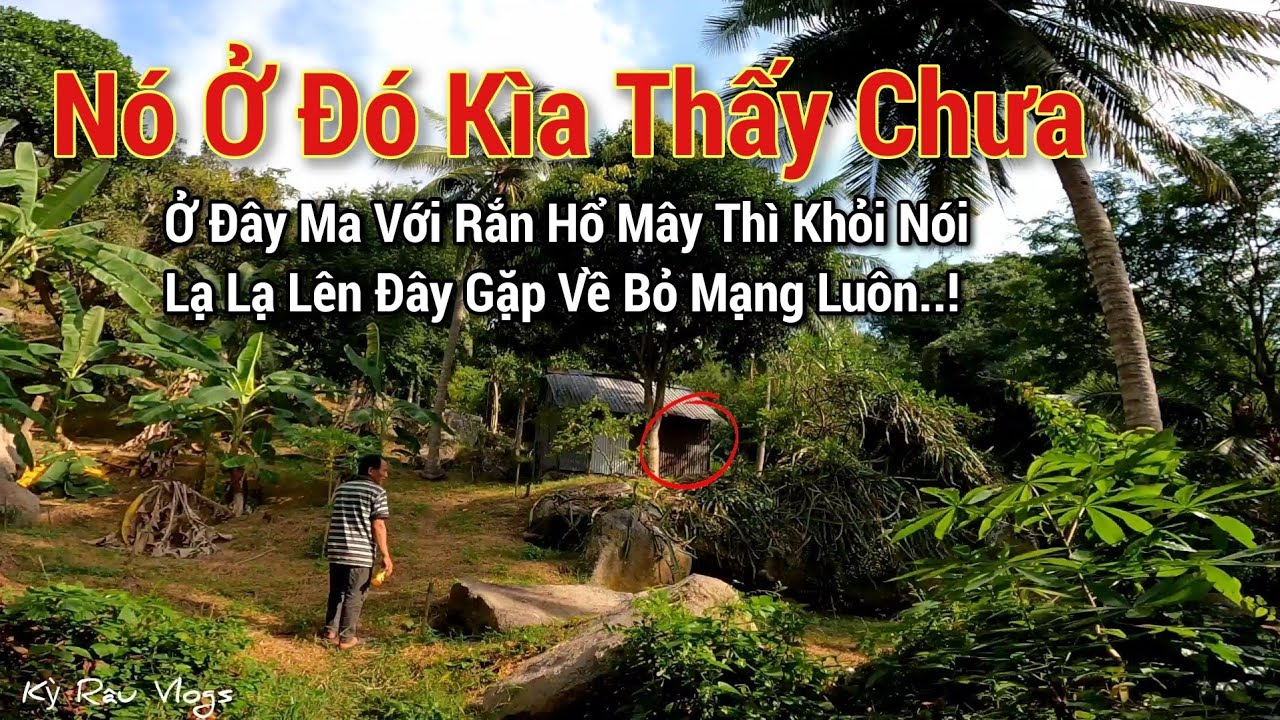 Người phụ nữ mơ thấy người đàn ông lạ ban đêm