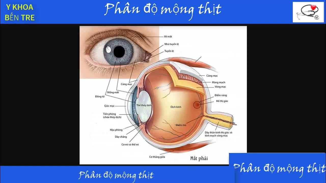 Người nằm mơ thấy phân trong giấc ngủ