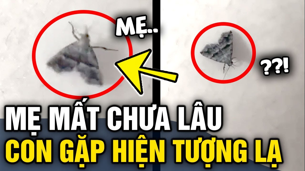 Mơ thấy sờ vú phụ nữ ý nghĩa điềm báo