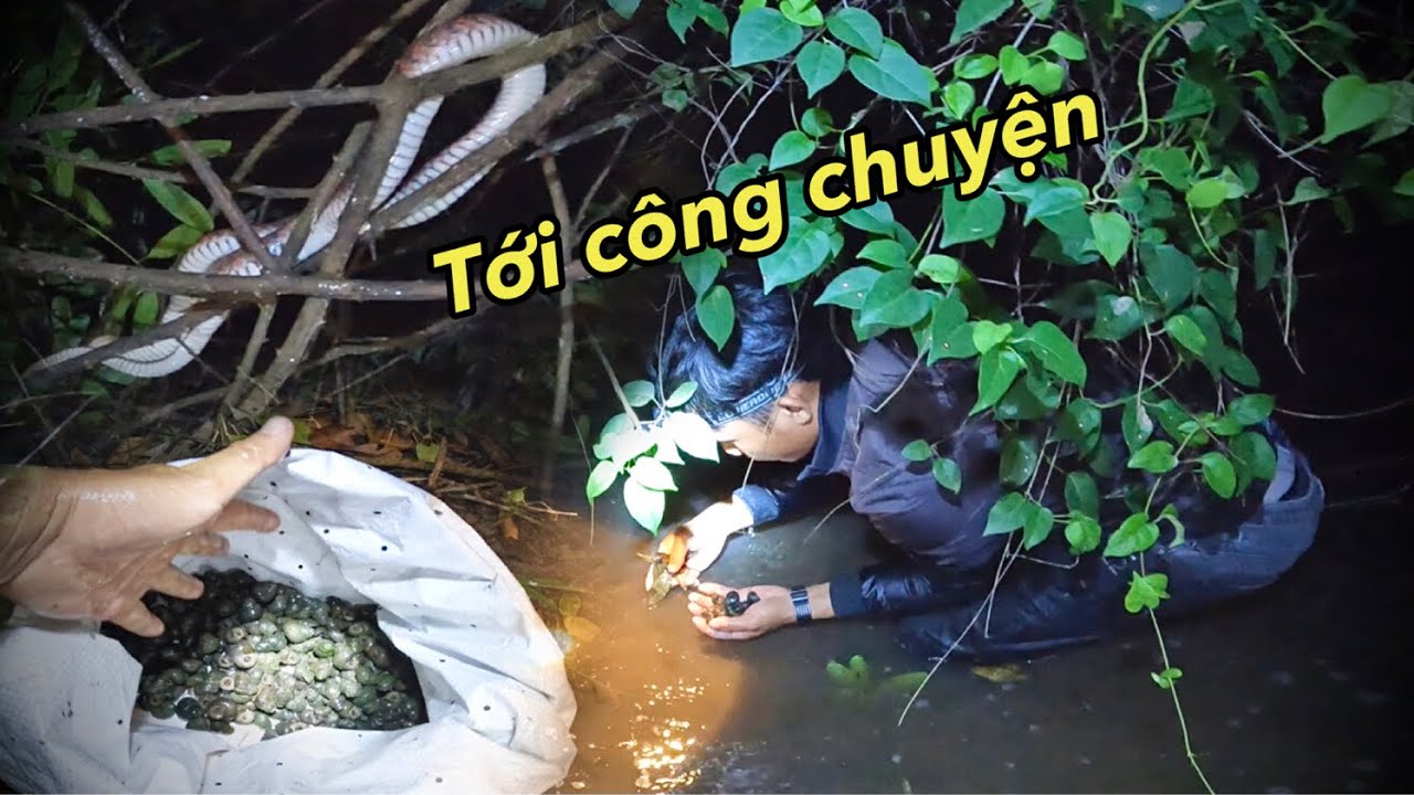 Người bắt ốc trong giấc mơ trên cánh đồng