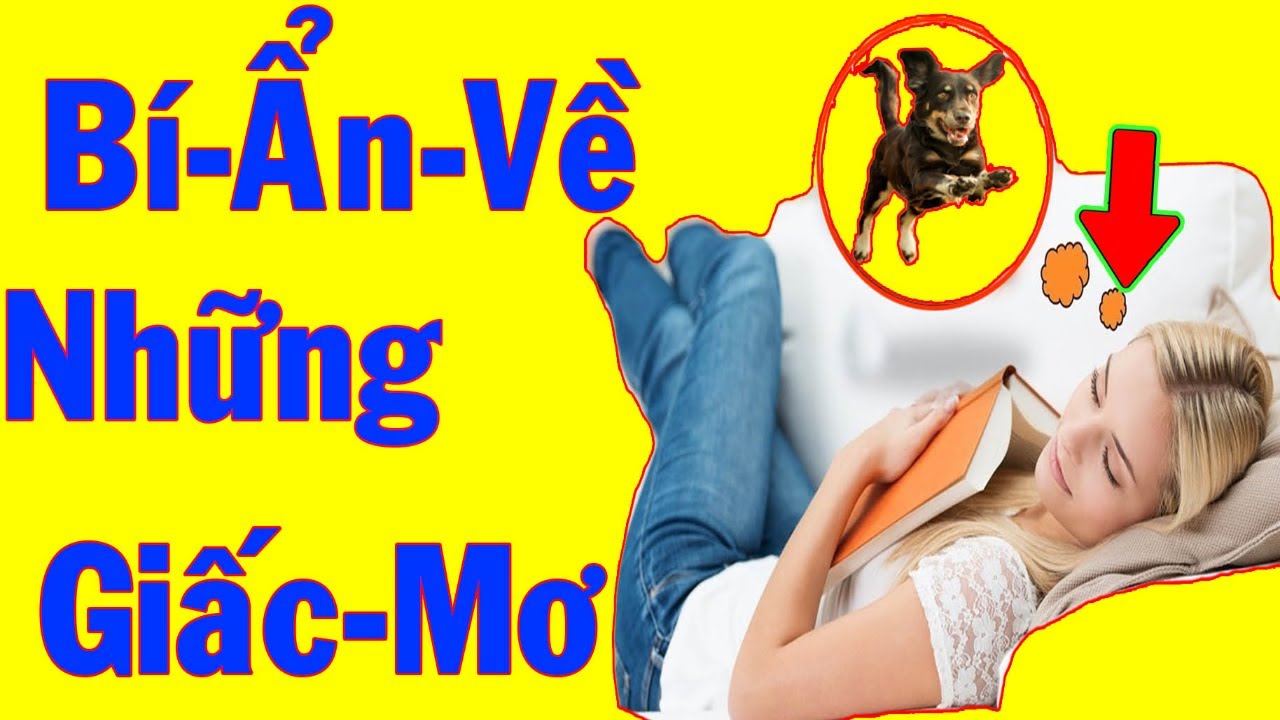 Chó rượt đuổi trong giấc mơ ban đêm