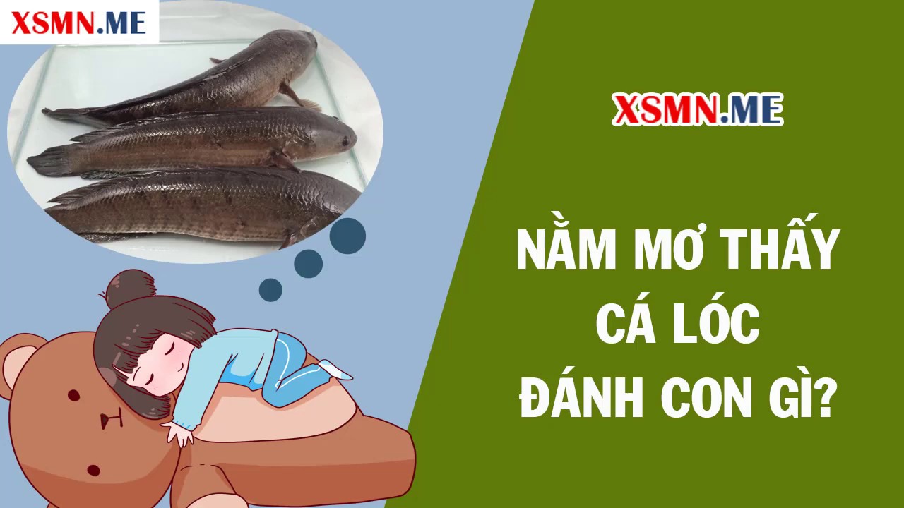 Người nằm mơ thấy cá to dưới nước