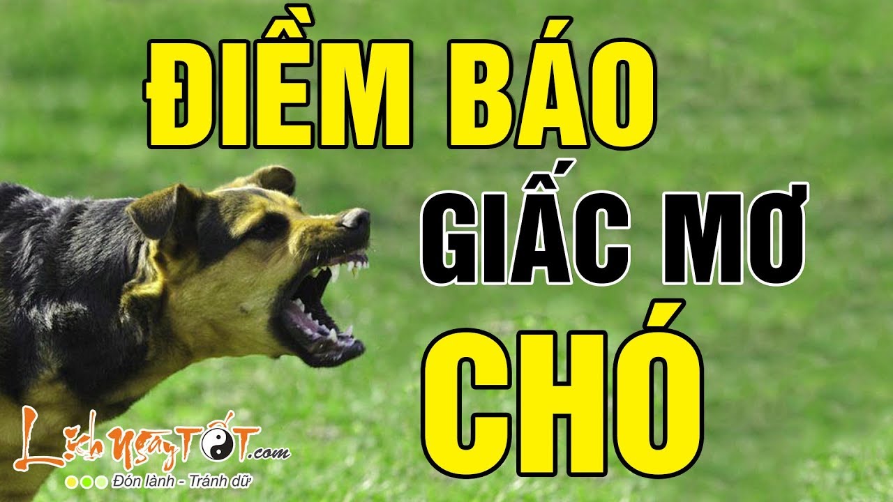 Người nằm mơ thấy chó cắn trong giấc ngủ