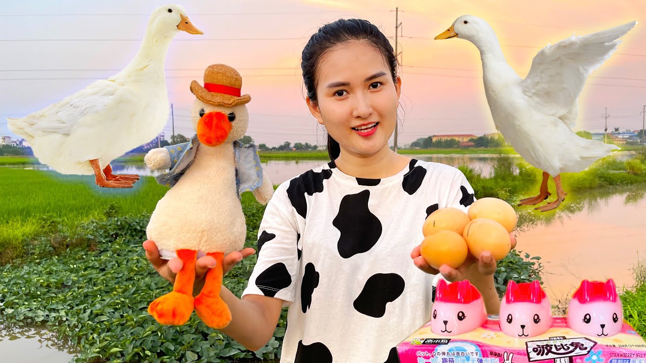 Người nhặt được trứng vịt trong giấc mơ