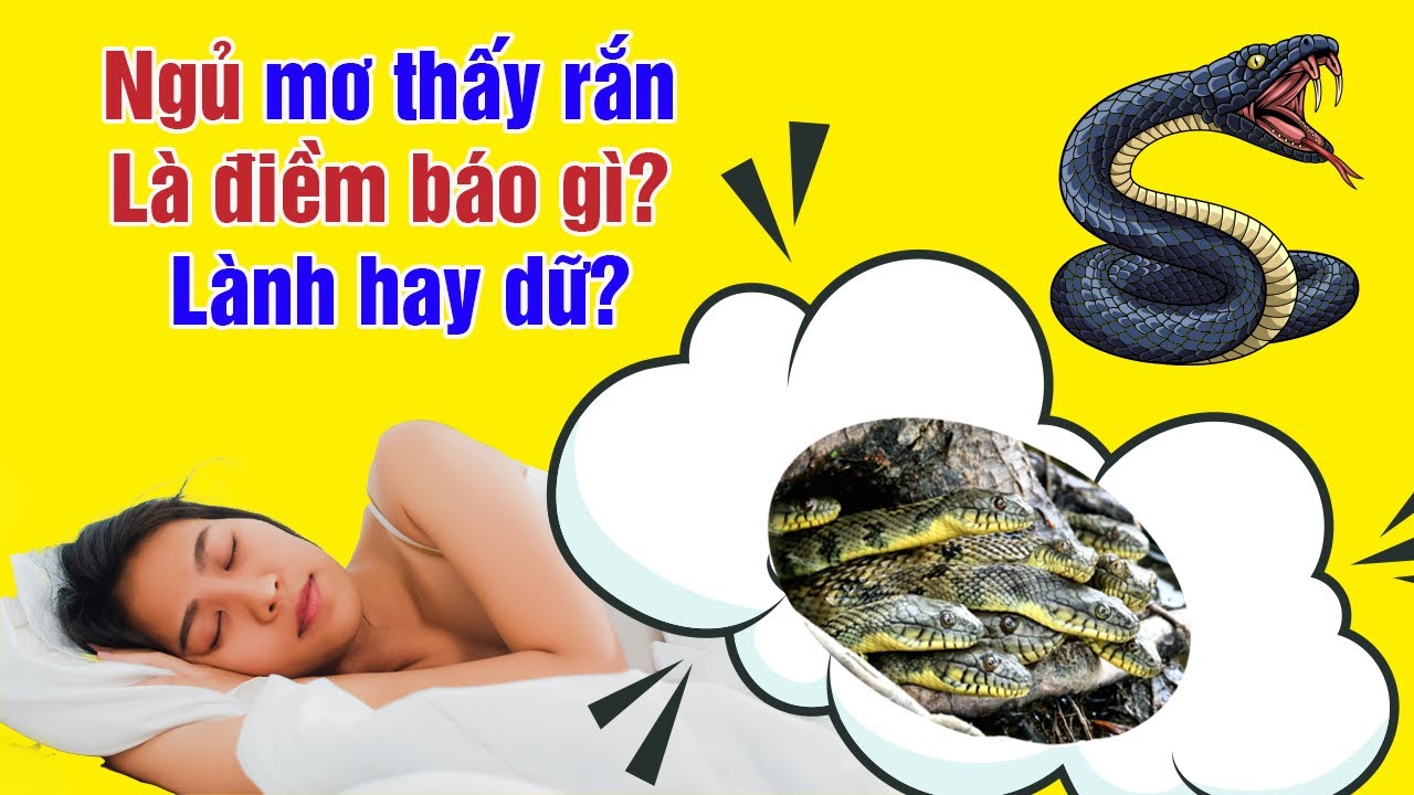 Gián xuất hiện trong giấc mơ ban đêm