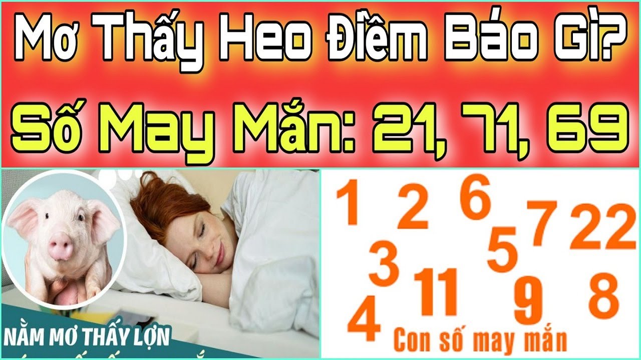 Lợn xuất hiện trong giấc mơ ý nghĩa và điềm báo