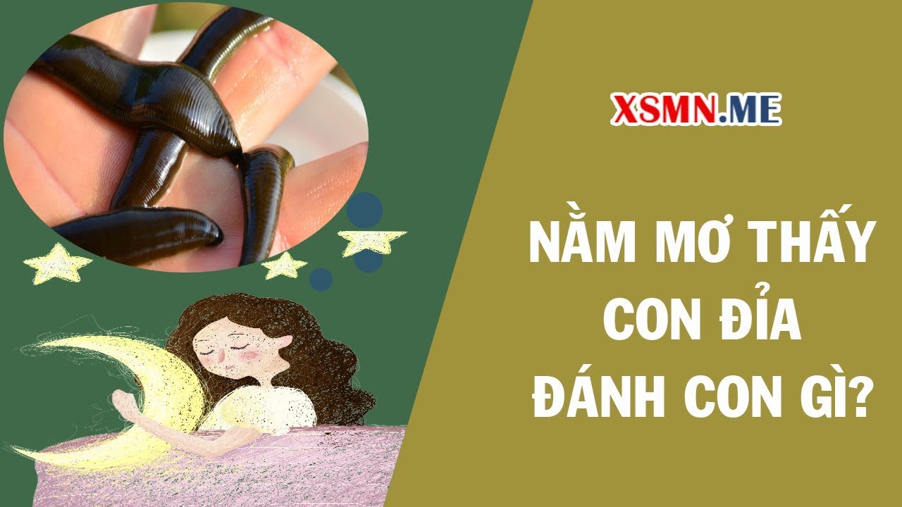 Đỉa xuất hiện trong giấc mơ ý nghĩa gì