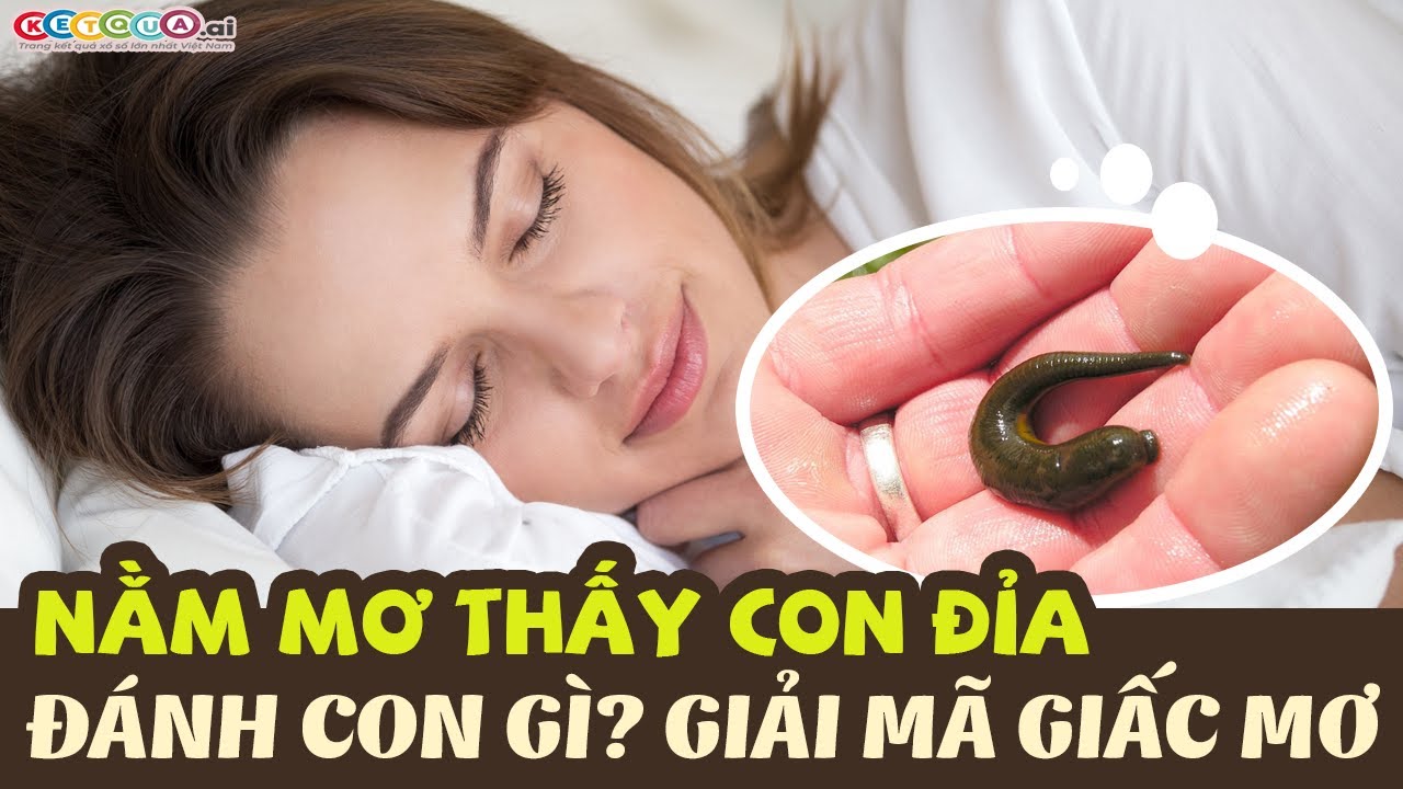 Đỉa xuất hiện trong giấc mơ ý nghĩa gì