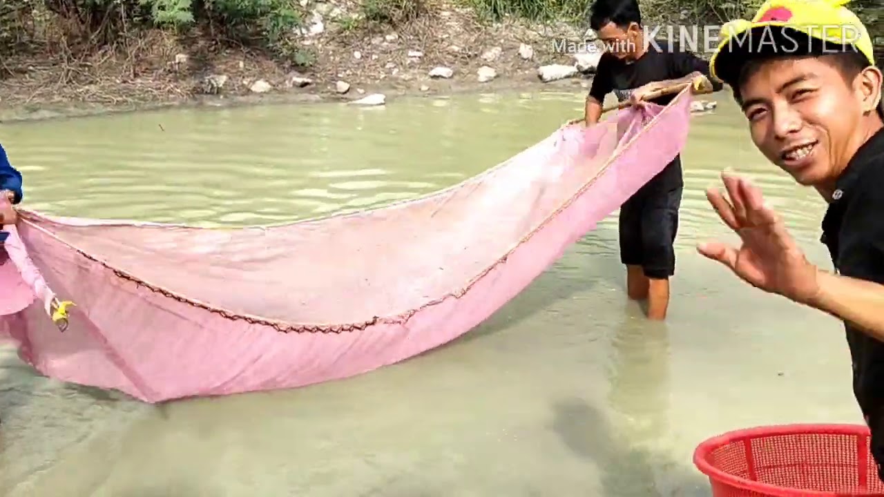 Người nằm mơ bắt được nhiều tép ngoài đồng