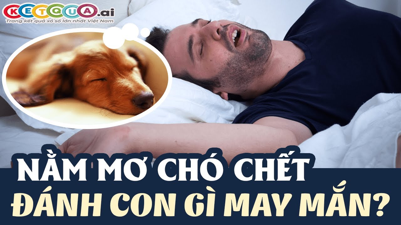 Chó mẹ đang sinh con trong giấc mơ