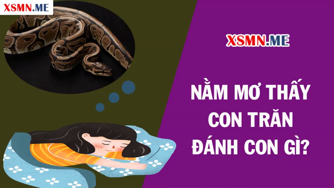 Con trăn xuất hiện trong giấc mơ ban đêm