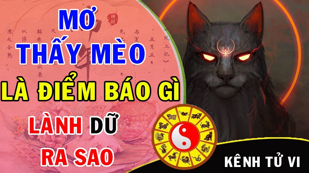 Mèo cắn trong giấc mơ ý nghĩa gì