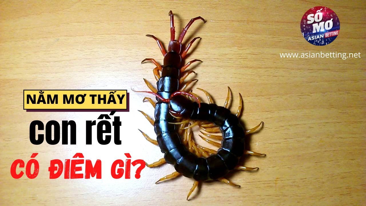 Người nằm mơ thấy rết bò dưới gối