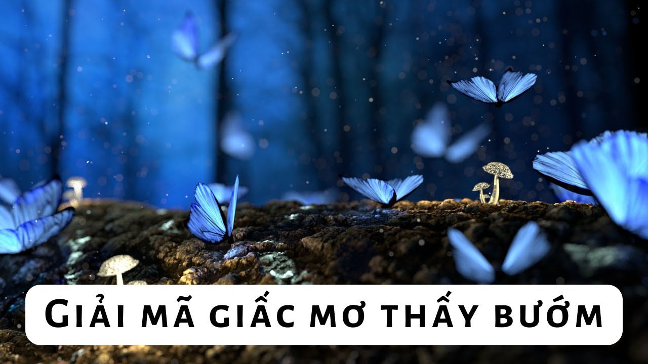Bướm bay trong giấc mơ ý nghĩa tâm linh