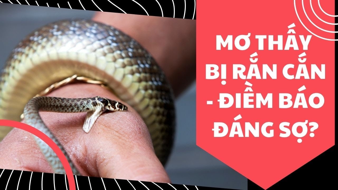 Rắn cắn vào chân trong giấc mơ