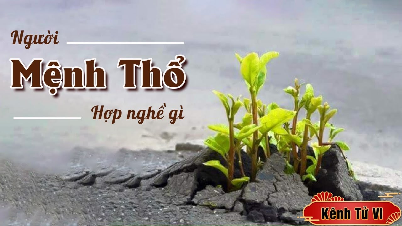 Người mệnh Thổ chọn nghề phù hợp phát triển sự nghiệp