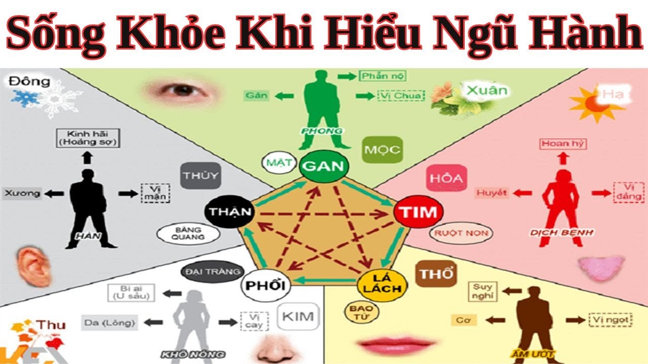Hiểu sâu về ngũ hành và sức khoẻ: Ứng dụng thực tiễn trong đời sống hiện đại Ngũ hành ảnh hưởng đến sức khoẻ con người