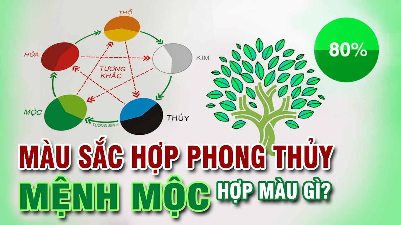 Người mệnh thiếu Mộc nên trồng cây xanh trong nhà