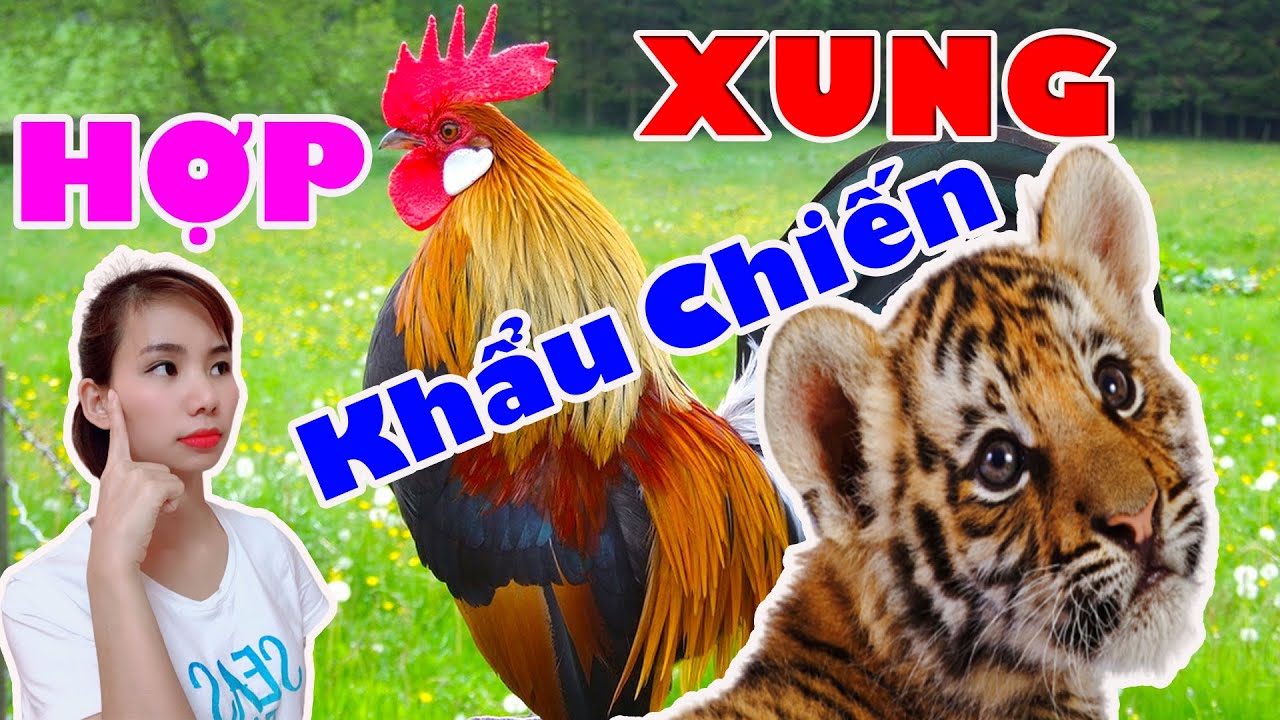 Giải Mã Tuổi Dậu Khắc Tuổi Nào: Góc Nhìn Thực Tế Về Phong Thuỷ Tương Hợp Và Khắc Kỵ Tuổi Dậu hợp và khắc với tuổi nào trong phong thủy