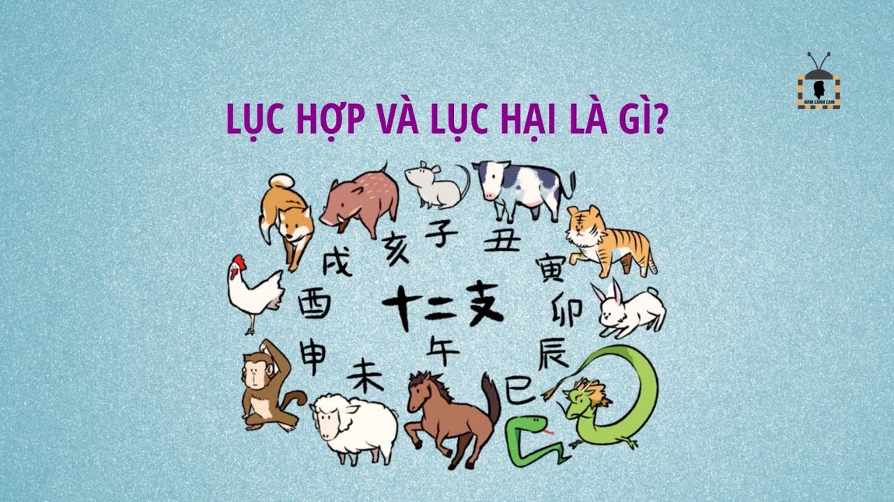 Lục hợp trong phong thủy là gì và ý nghĩa
