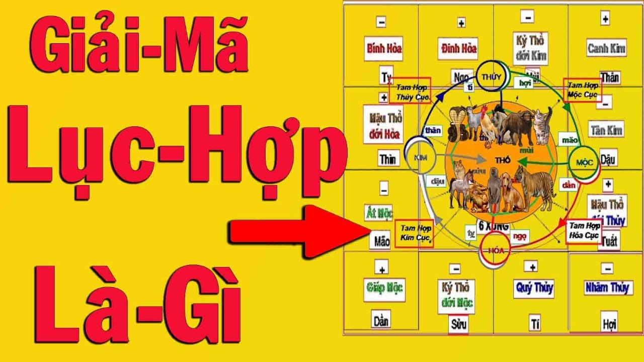 Lục Hại Là Gì? Giải Mã Ảnh Hưởng Của Lục Hại Trong Phong Thuỷ & Đời Sống Khái niệm lục hại trong phong thủy và tử vi