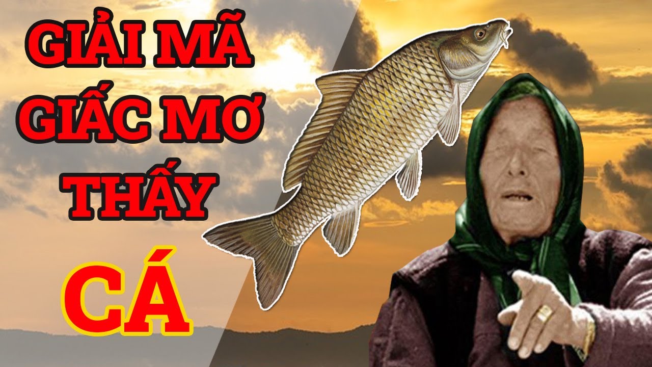 Cá bơi trong nước trong giấc mơ ban đêm