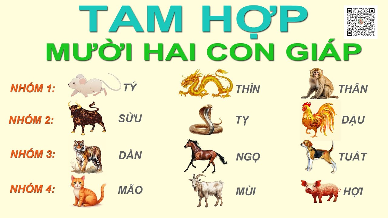 Cách xem tam hợp 12 con giáp: Hiểu sâu phong thuỷ và ứng dụng thực tiễn trong cuộc sống Cách xem tam hợp 12 con giáp chuẩn xác nhất