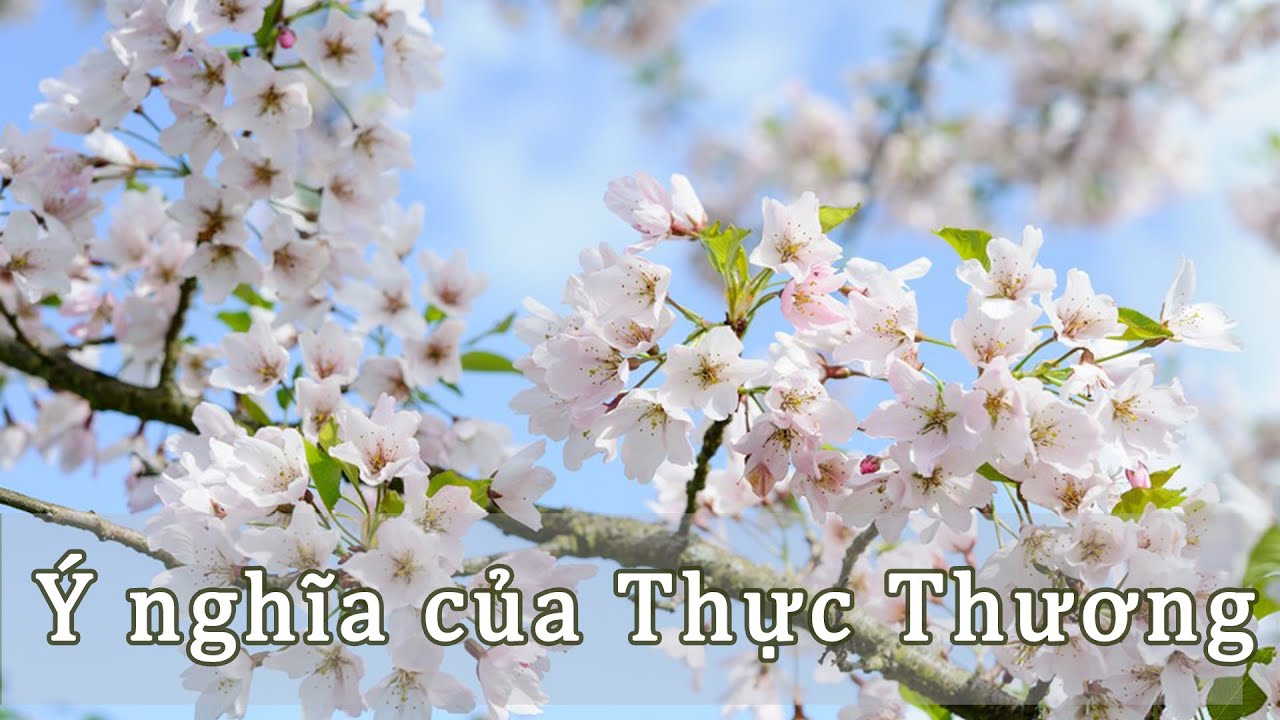 Thực thần là gì trong tử vi tứ trụ