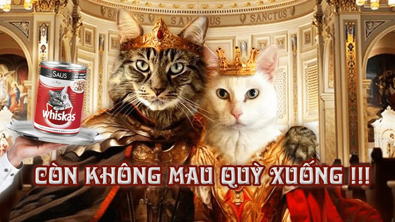 Khái niệm kiếp tài trong tử vi là gì