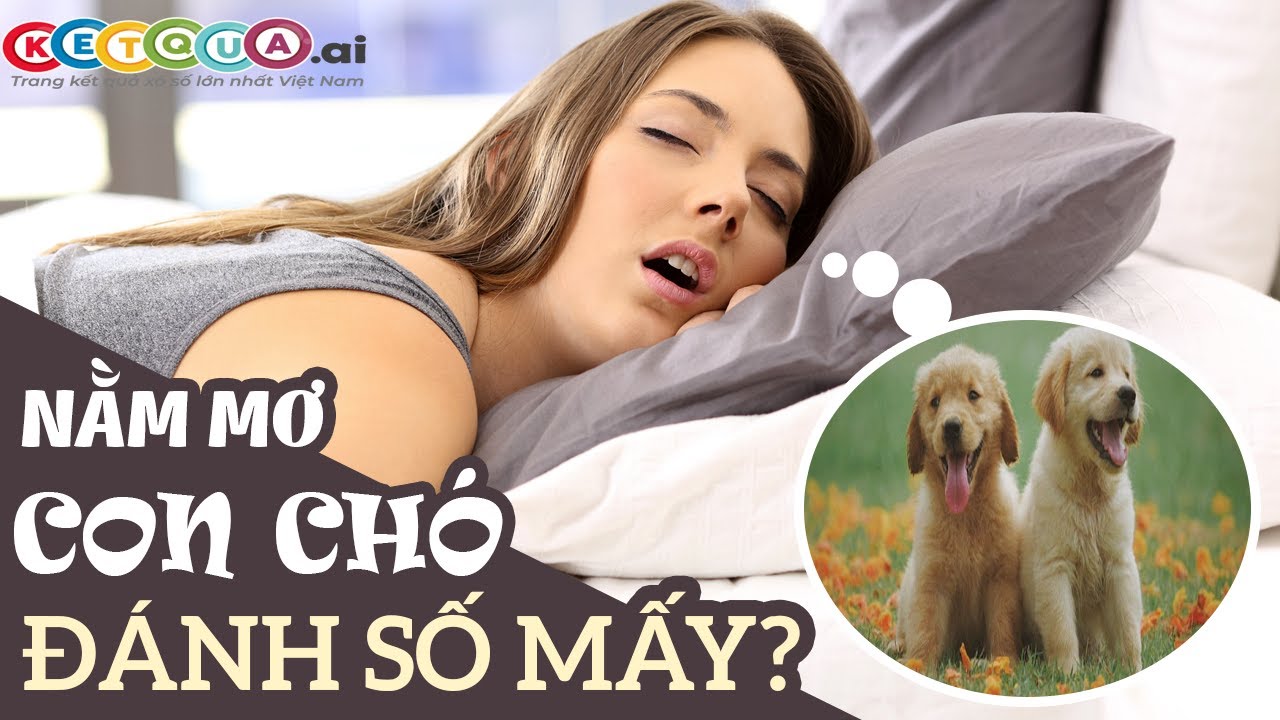 Người nằm mơ thấy cứt trong giấc ngủ