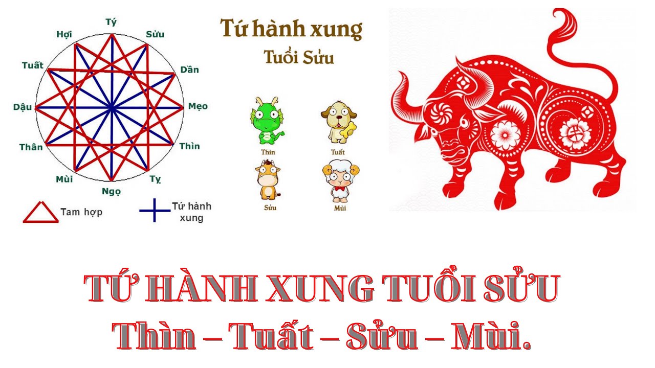Tử vi xung tuổi là gì trong phong thủy