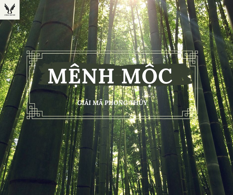 Người mệnh Mộc là gì trong phong thủy