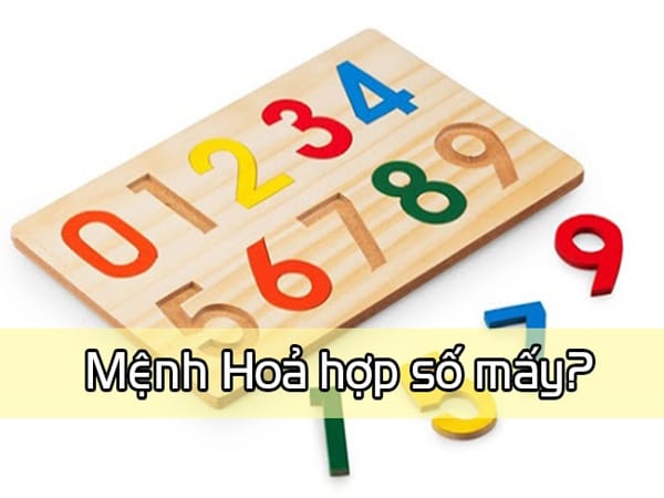 Giải Mã Mệnh Hoả Hợp Tuổi Nào: Kiến Thức Thực Tiễn Cho Người Tìm Hiểu Phong Thuỷ Người mệnh hoả hợp tuổi nào trong phong thuỷ