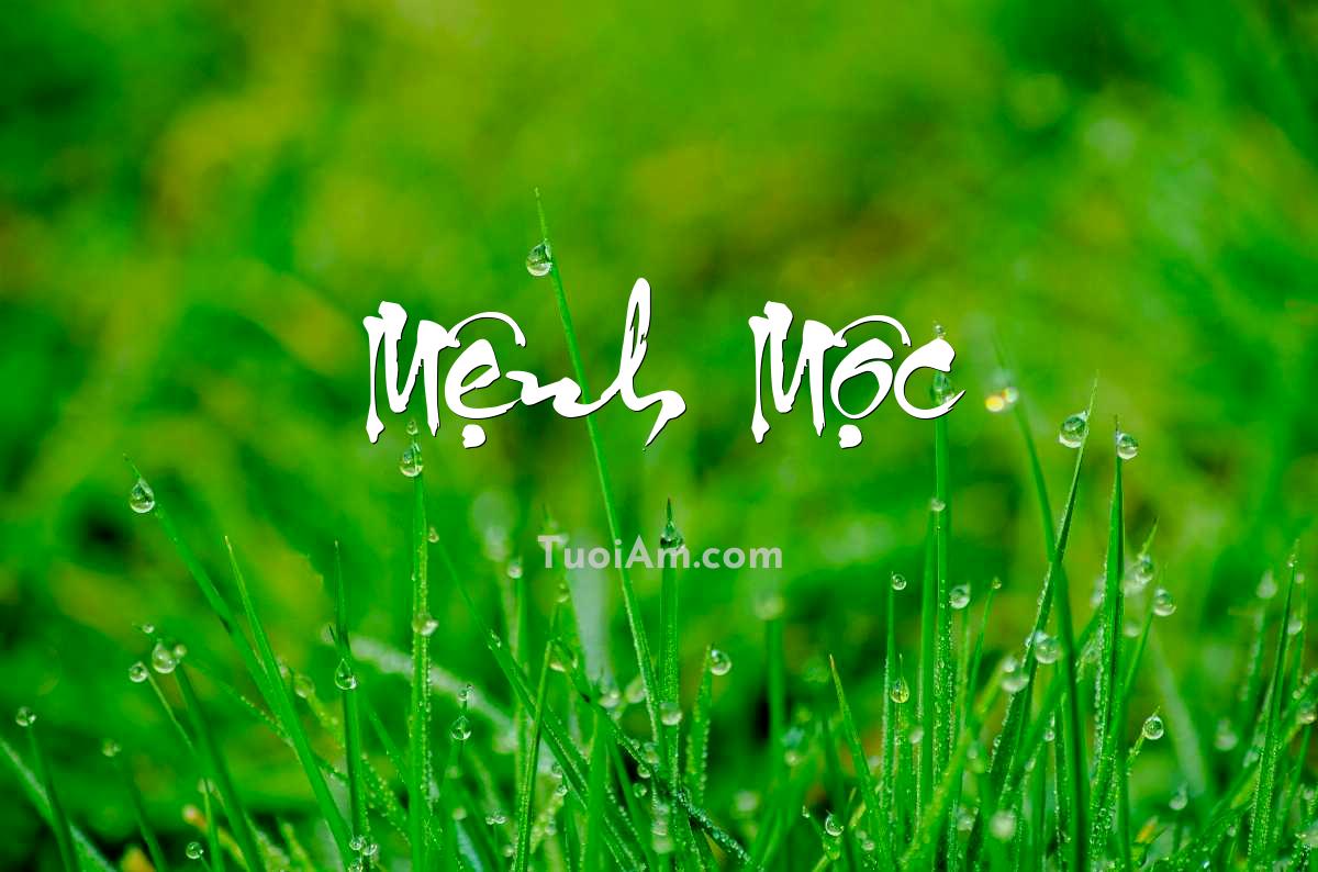 Mệnh thiếu Mộc phải làm gì? Hiểu sâu và ứng dụng thực tế trong đời sống phong thủy Người mệnh thiếu Mộc nên trồng cây xanh trong nhà