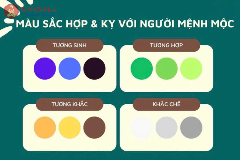 Mệnh Mộc hợp mệnh nào? Giải mã phong thuỷ tình duyên, làm ăn và cách ứng dụng thực tiễn Người mệnh Mộc hợp với mệnh nào nhất