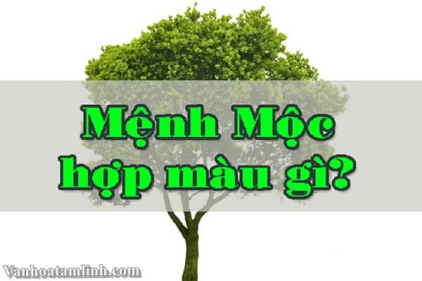 Mệnh Mộc hợp mệnh nào? Giải mã phong thuỷ tình duyên, làm ăn và cách ứng dụng thực tiễn Người mệnh Mộc hợp với mệnh nào nhất