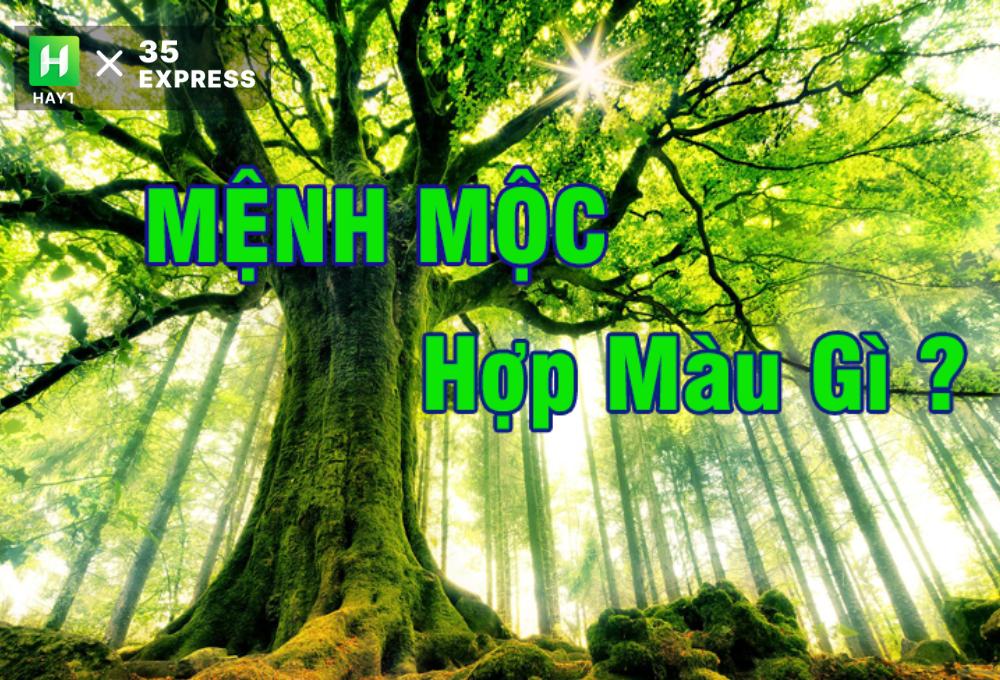 Người mệnh Mộc là gì trong phong thủy