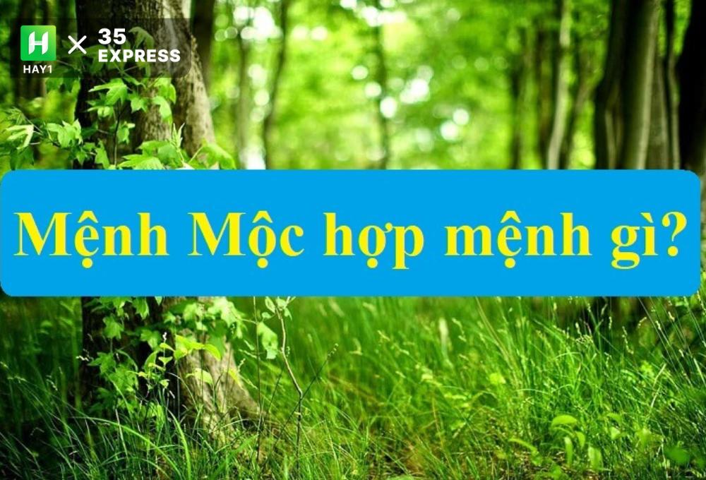 Người mệnh Mộc là gì trong phong thủy