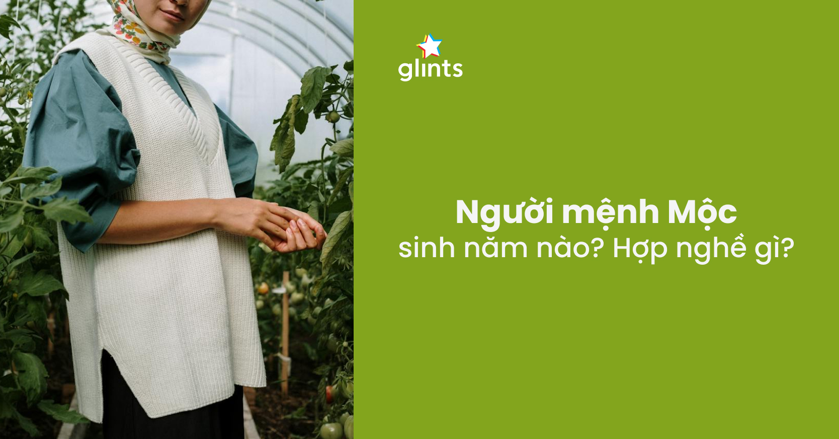 Mệnh Mộc làm nghề gì hợp? Chuyên gia phong thuỷ chia sẻ trải nghiệm thực tế Người mệnh Mộc chọn nghề phù hợp phát triển sự nghiệp