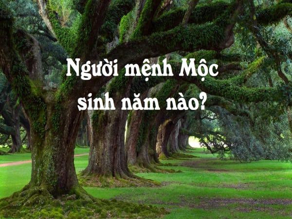 Mệnh Mộc hợp tuổi nào? Giải mã phong thủy và lựa chọn tối ưu cho cuộc sống Người mệnh Mộc hợp với tuổi nào nhất
