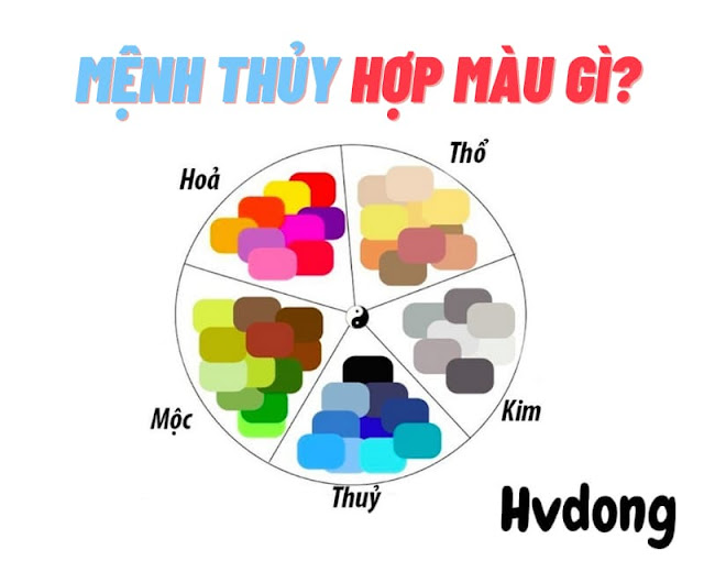 Giải mã mệnh Thủy kỵ màu gì: Hiểu sâu để ứng dụng đúng trong phong thủy thực tế Người mệnh Thủy nên tránh màu vàng và nâu đất