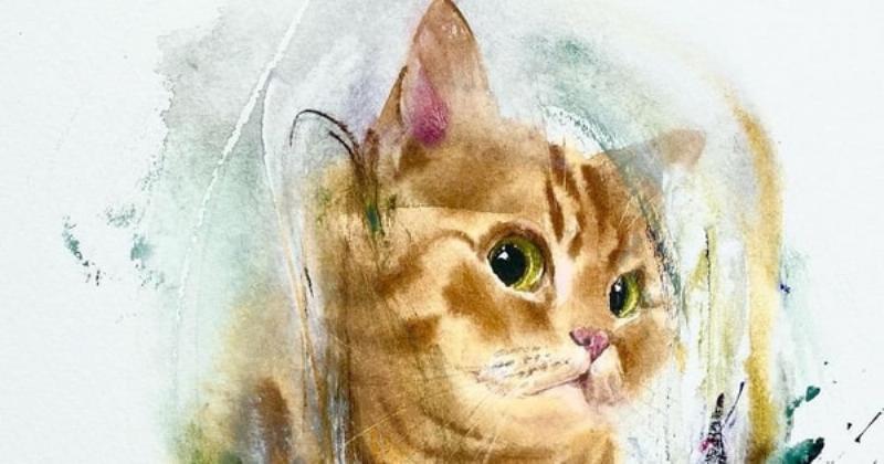 Mèo chết trong giấc mơ đánh đề số nào