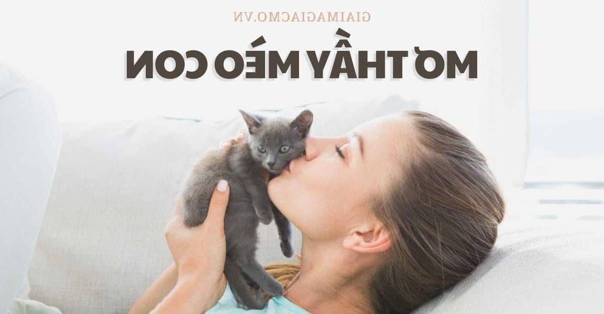 Mơ thấy nhiều kiến nên đánh đề số gì