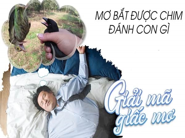 Nằm mơ bắt nhiều ốc đánh đề số gì