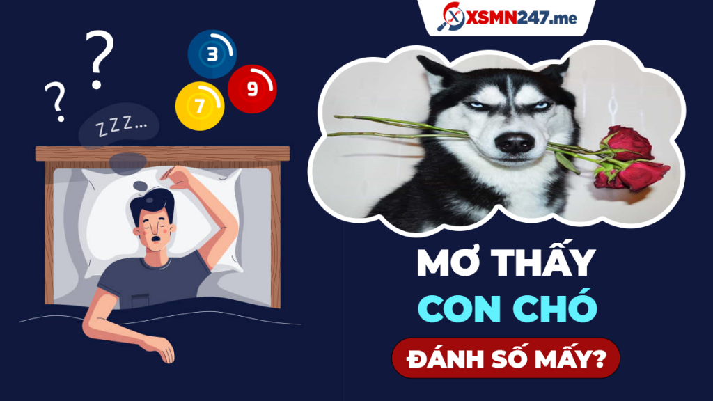 Sư tử trong giấc mơ và con số may mắn