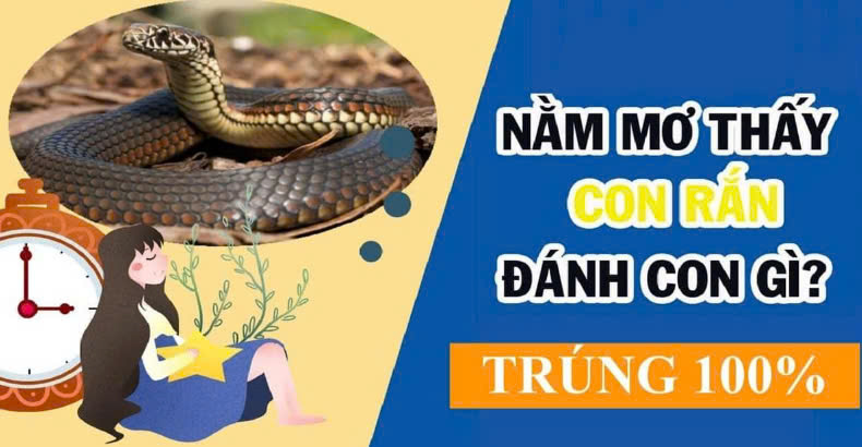 Rắn cắn vào tay khi ngủ nên đánh số gì